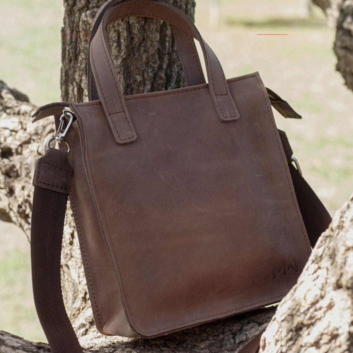 Cartera Teodora